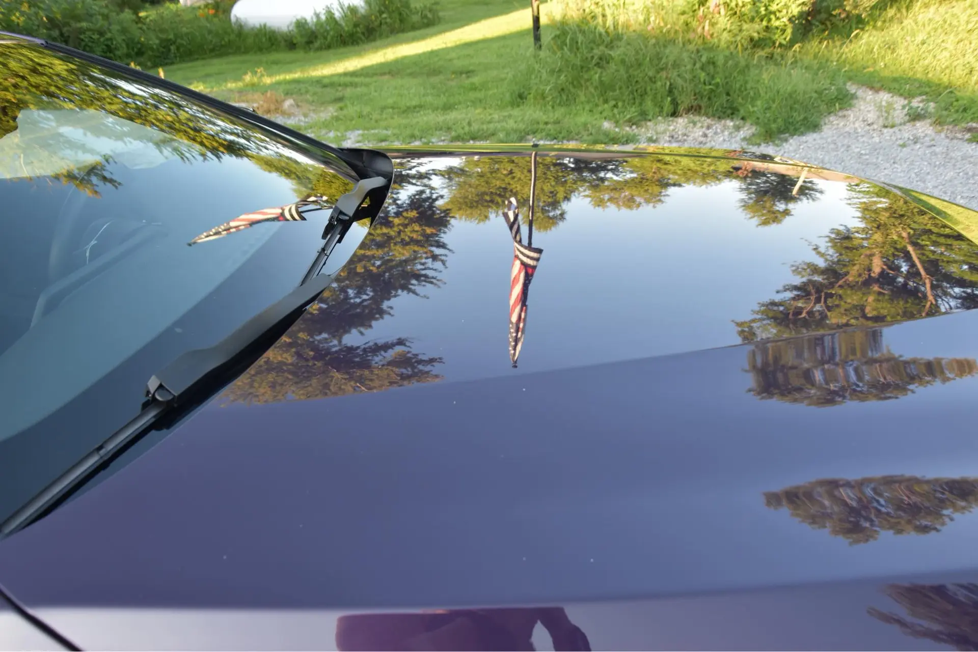 Deep gloss paint reflection after professional paint correction