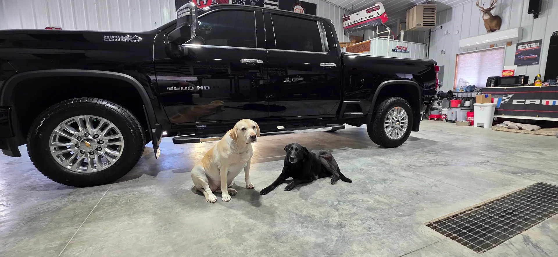 The Shine Inspector, the CME Shine shop dog