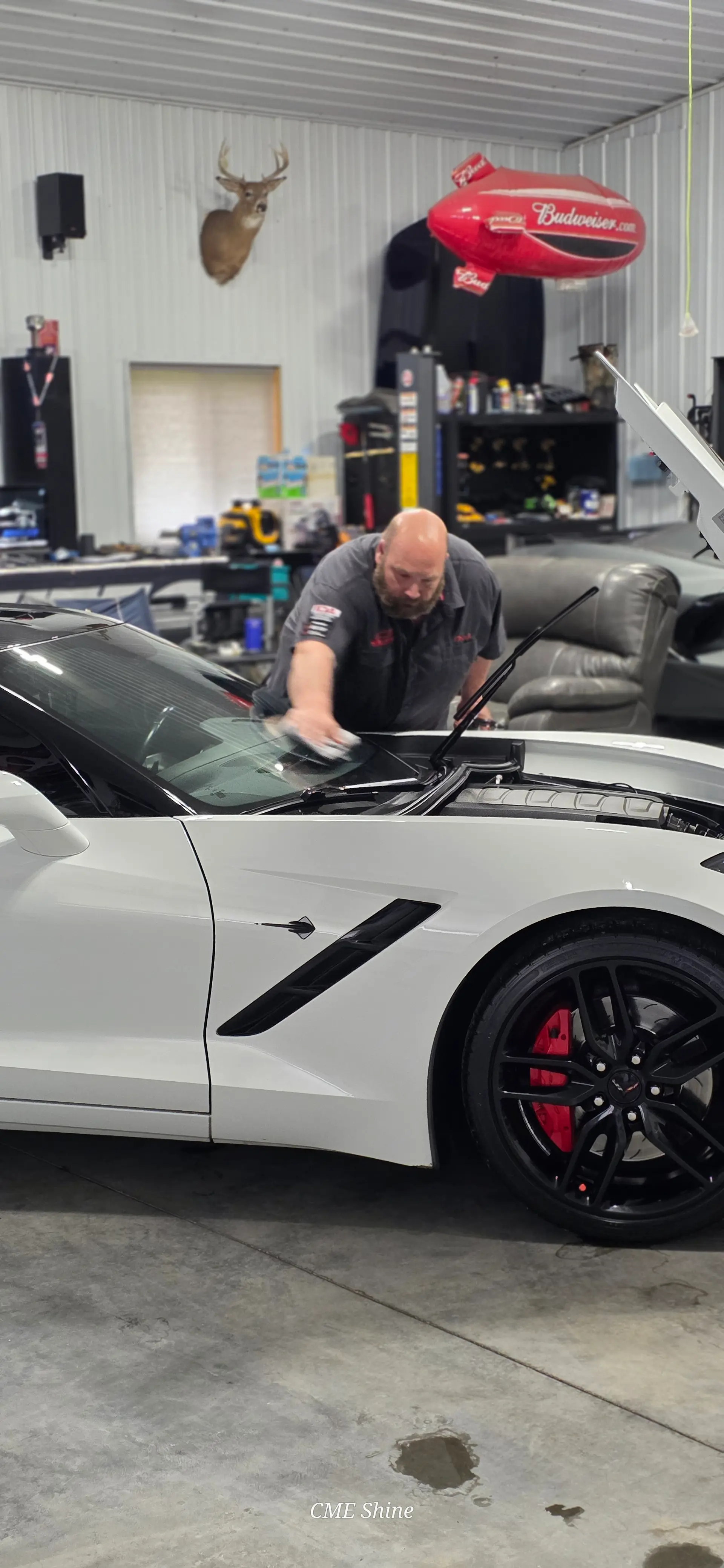 Detailer performing a coating-safe maintenance detail